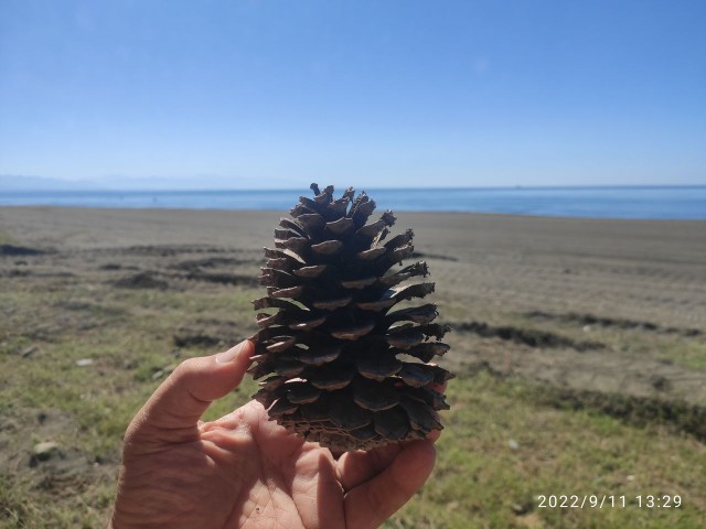 Мой Кавказ. Часть 2