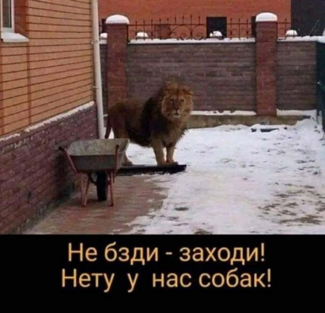 Псто с картинками