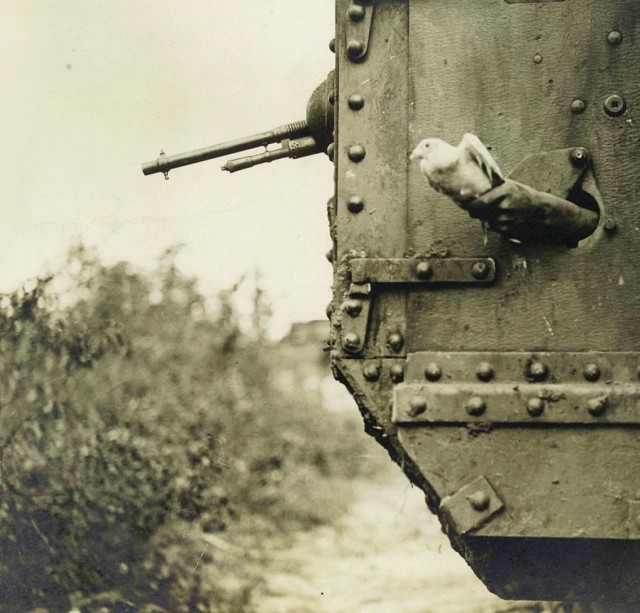 Wargaming 4