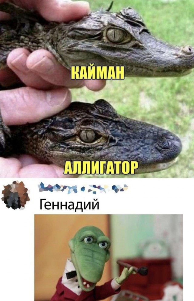 Юмор в картинках и без