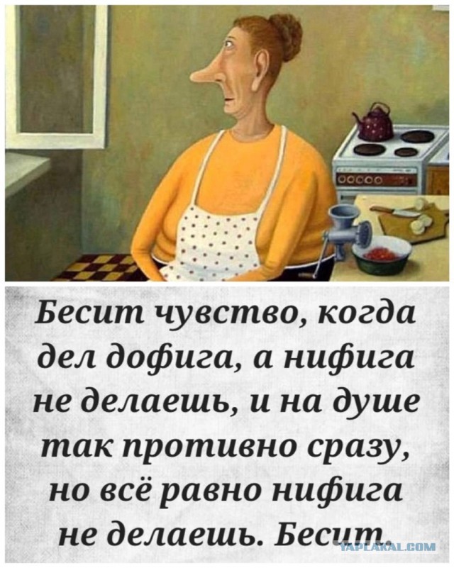 С новым 2024 годом ЯП!