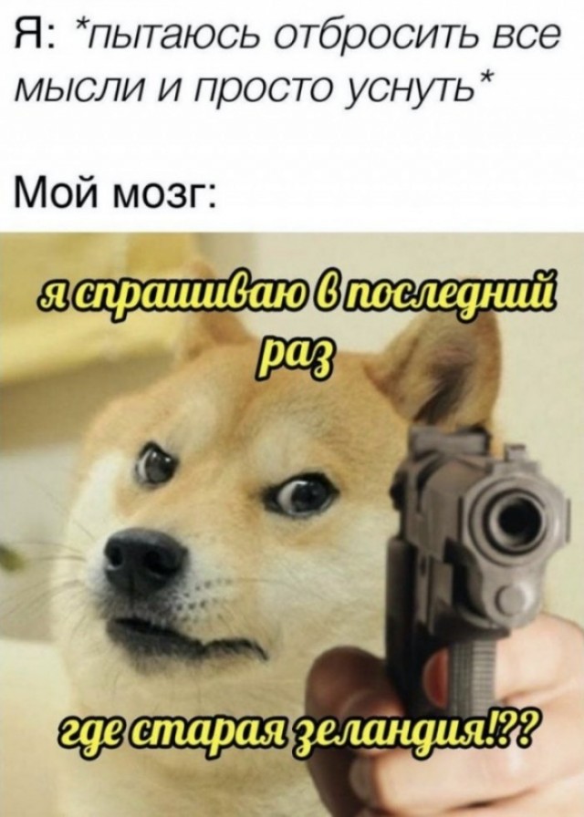 Юмор в картинках и без