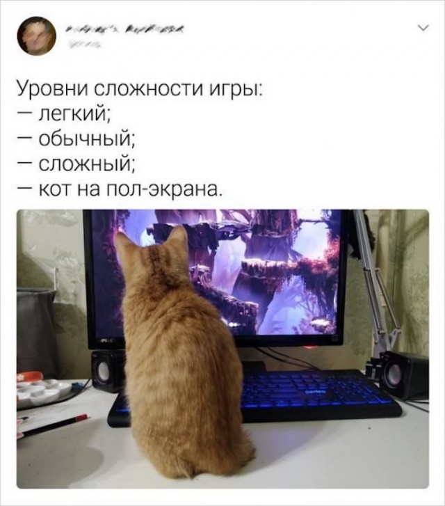 То, что не перестанет растягивать лицо в улыбке во веки веков. Аминь.