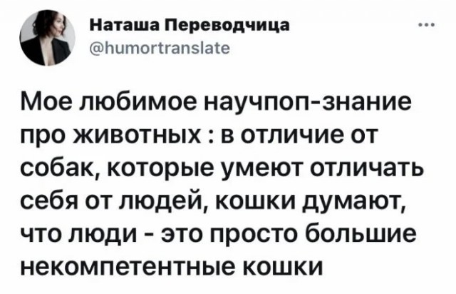 Забавные комментарии из социальных сетей (24.07.23)