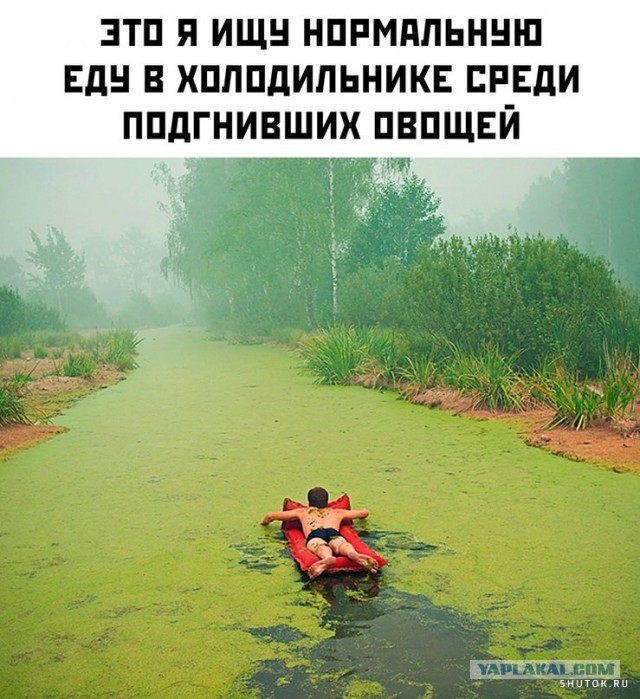 Ну вот и я повёлся.