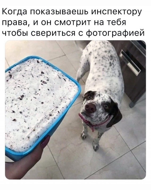 Так себе картинки 09.08.23