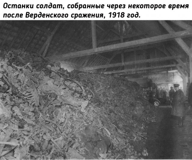 Небольшая подборка исторических фото (15.08)