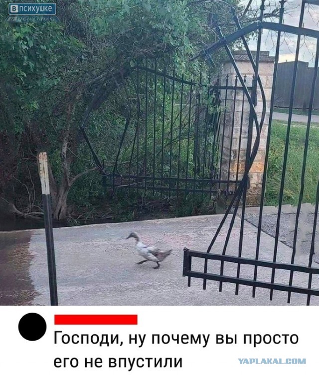 Откуда берутся женоненавистники