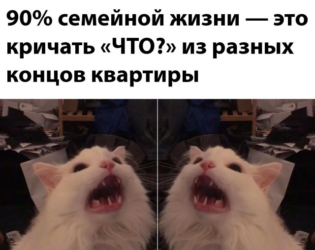 Так себе картинки 06.10.23