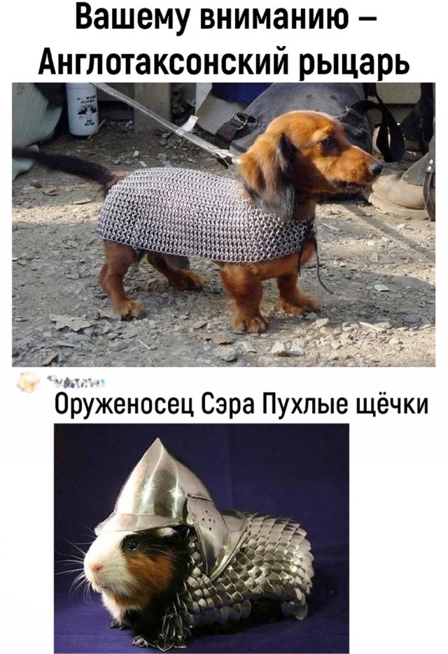 Старинное ремесло: как плели кольчуги с древнейших времен до XVIII века