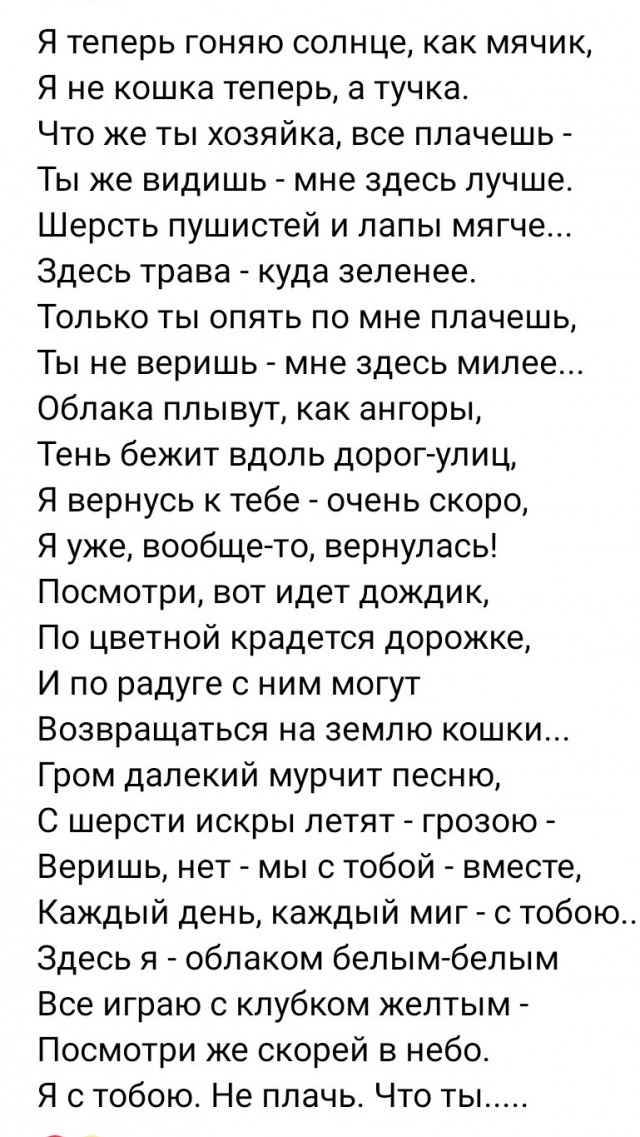 Её Последняя Охота. Грустный пост котовторника