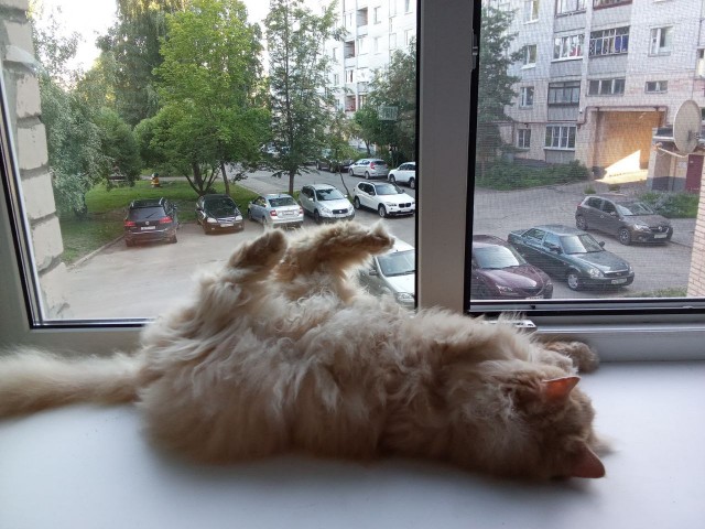 Вот и я стал рабом