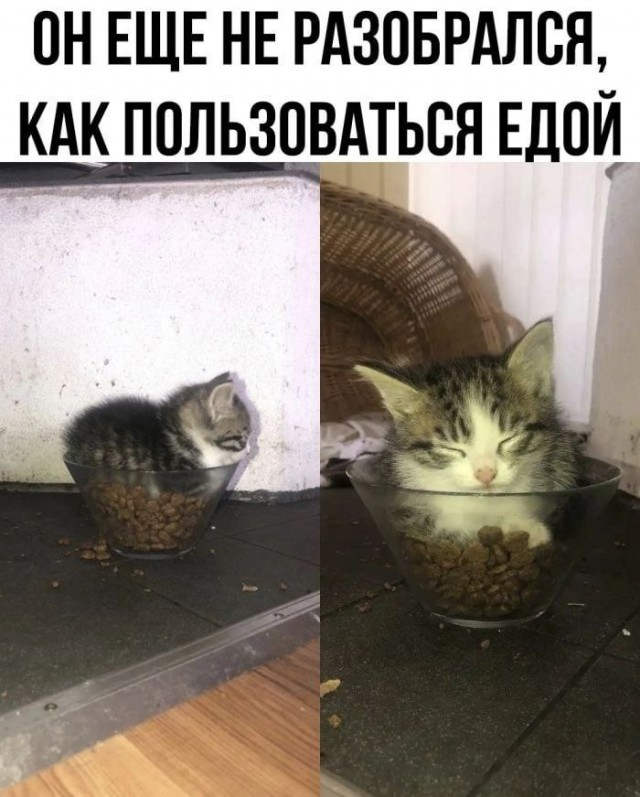 Завалялось тут случайно немного забавных картинок