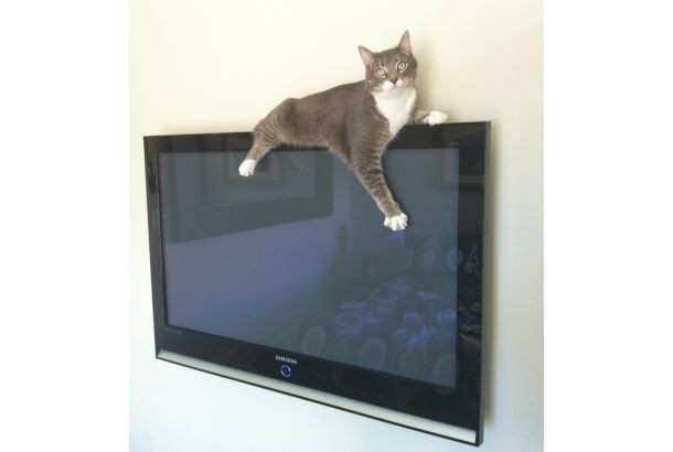 М.Видео заплатит 120 000 рублей за упавший со стены телевизор