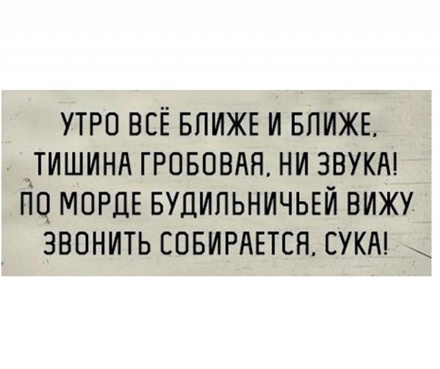 Так себе картинки 21.12.24