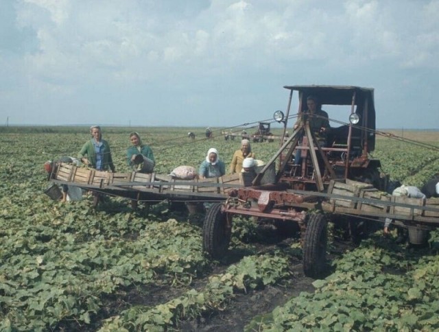 Фотографии из прошлого нашей страны – 90