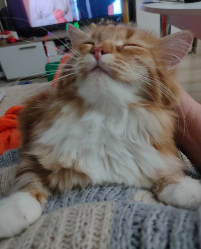 Наш мудрец.