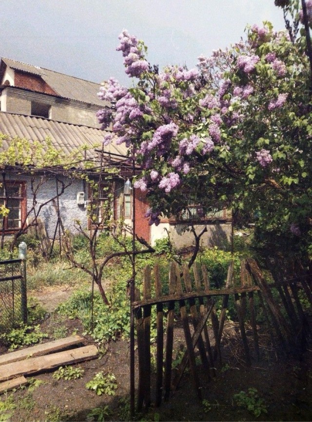 Прикольные и просто красивые картинки 08.05.2025