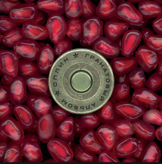 56 лет сегодня исполнилось Александру Васильеву, лидеру группы «Сплин»