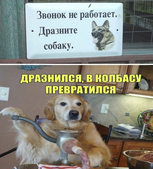 Так себе картинки 29.07.25