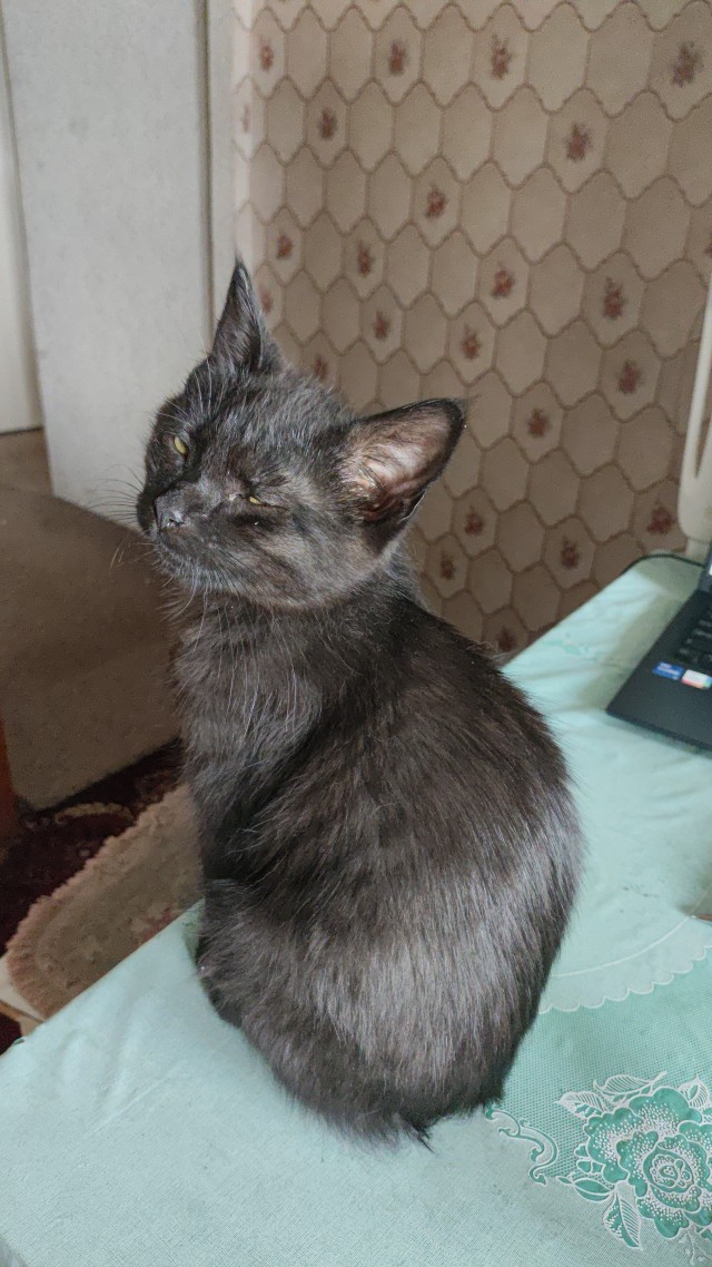 Его первый вторник