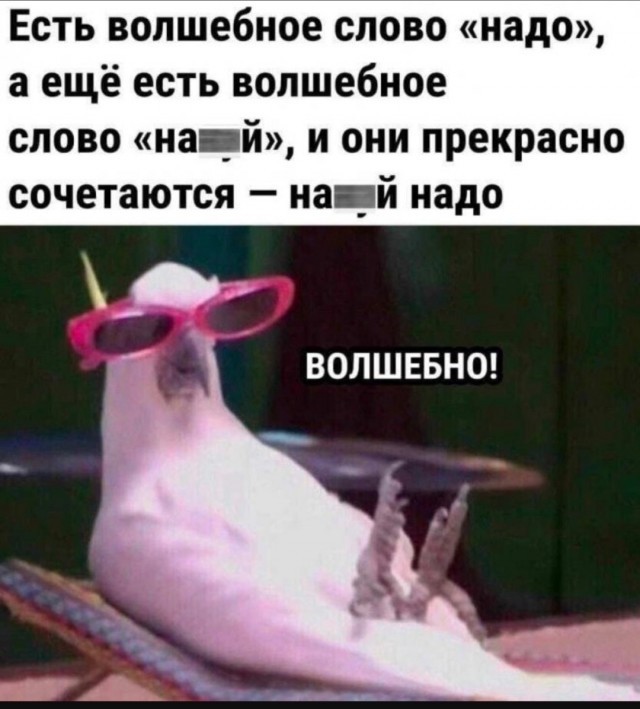 Веселое настроение в картинках 09.08.25