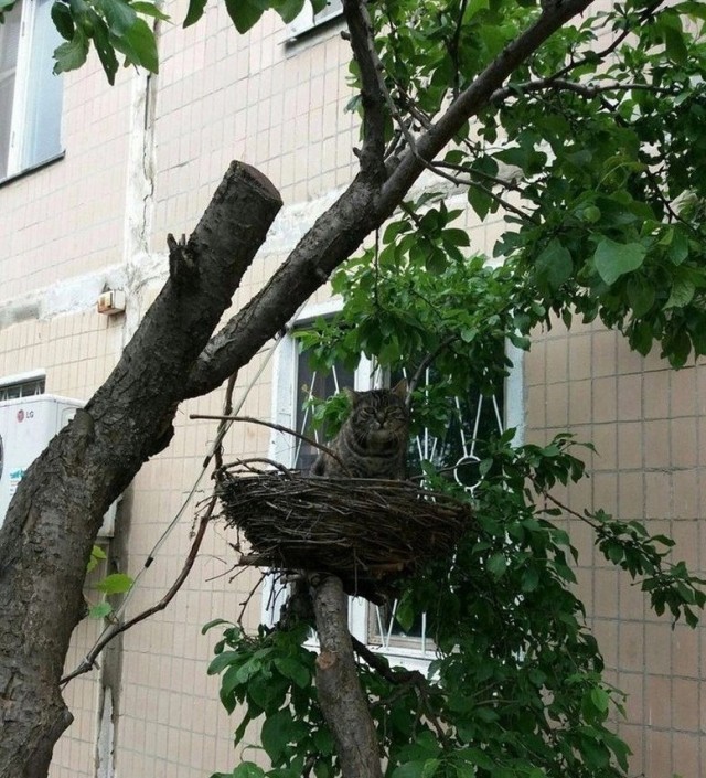 Прикольные и просто красивые картинки 29.08.2025