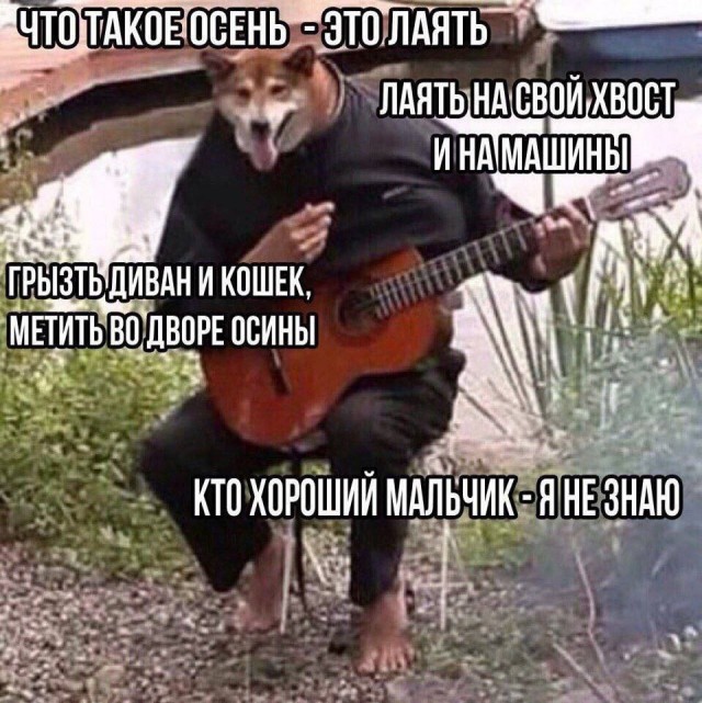 Так себе картинки 13.09.25