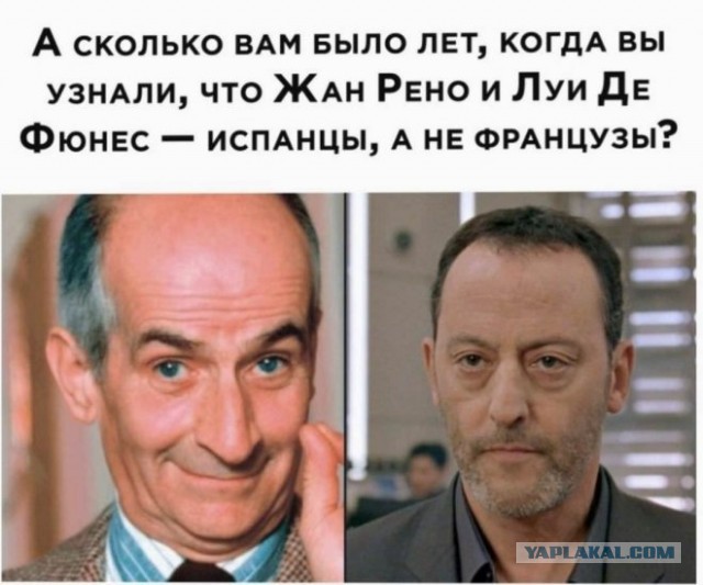 Веселые картинки в маленькую пятницу (24.09)