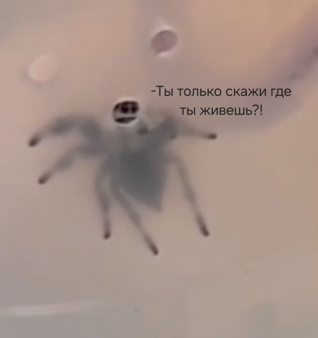 Я тебя запомнил