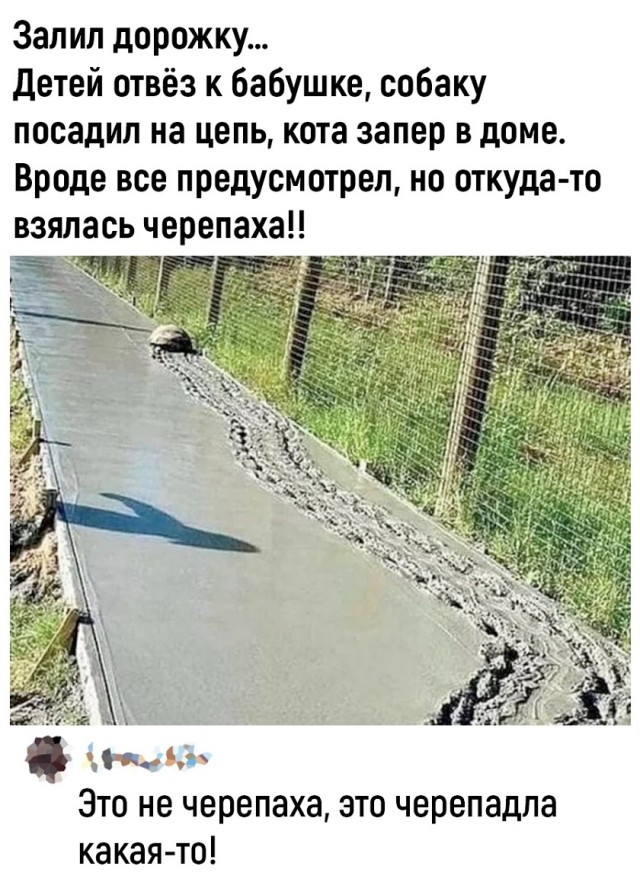 Так себе картинки 22.11.25