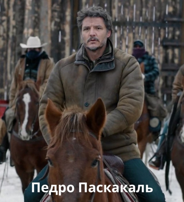 Дегидродегенерация