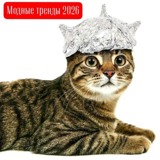 Субботние картинки