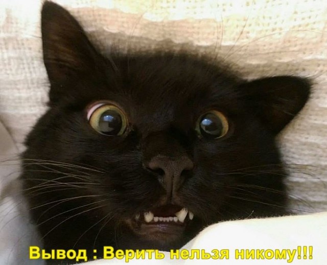 Верить нельзя никому!