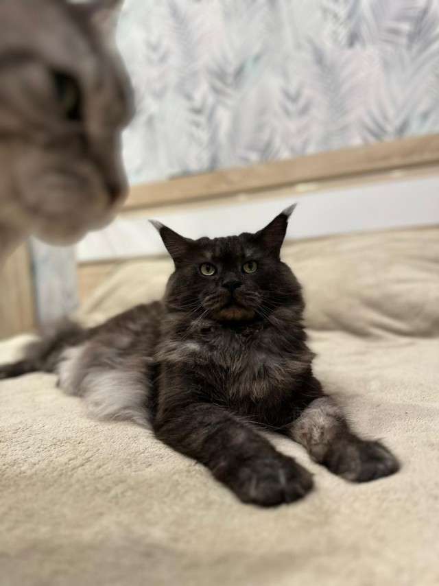 Филя