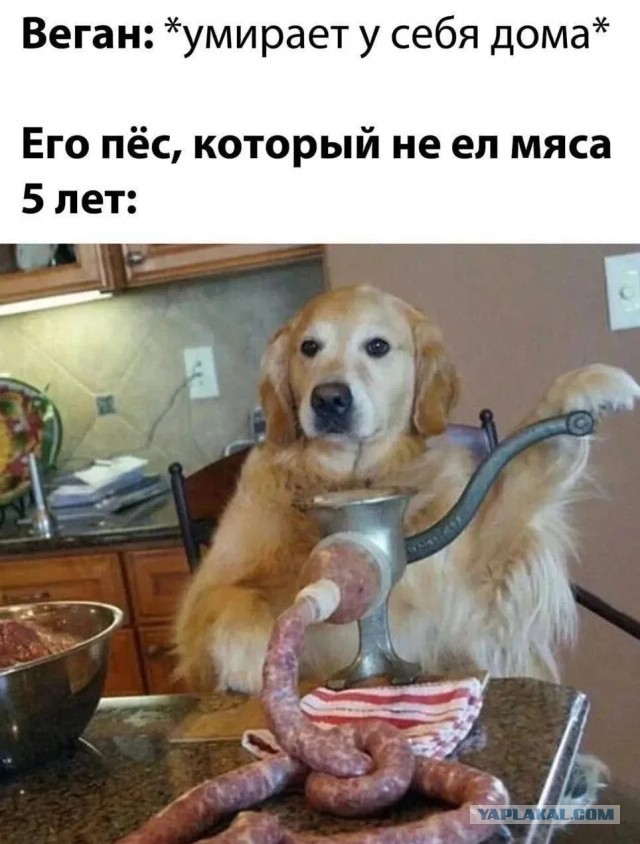 Приколюхи