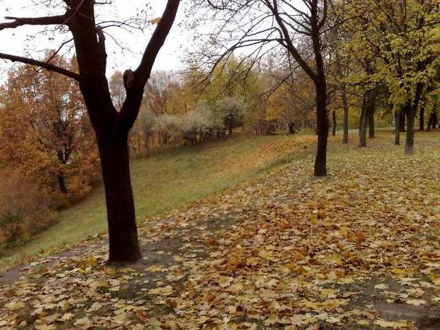 В Киеве осень. 20 фоток