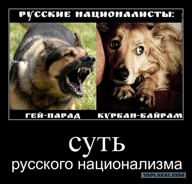 Толерантность в России