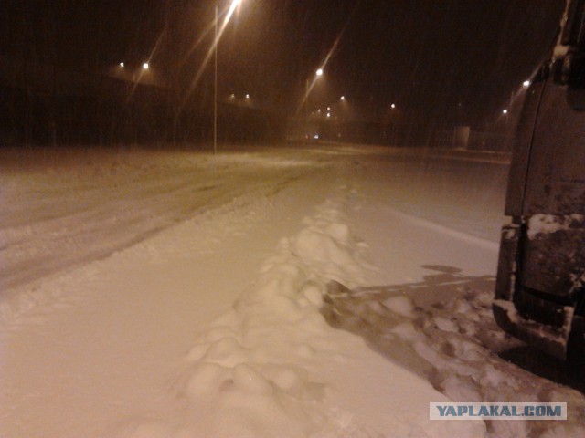 Где яблоки растут!