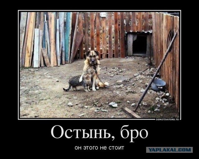 Украина готовит ответный удар