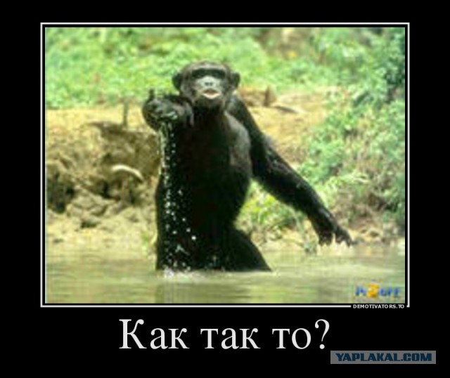 Порошенко небесной сотне:«Хлопцы, вы погибли зря».