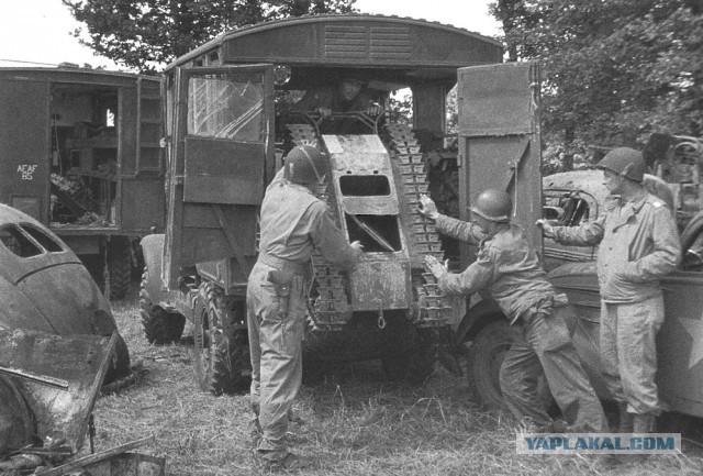 Wargaming 12, WoT сотоварищи