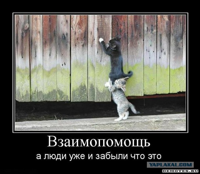 Чёрт, чёрт, чёрт!