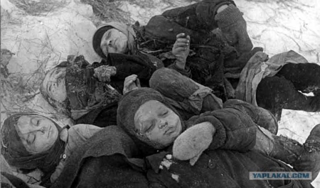 Европейские ветераны Второй мировой: примирение