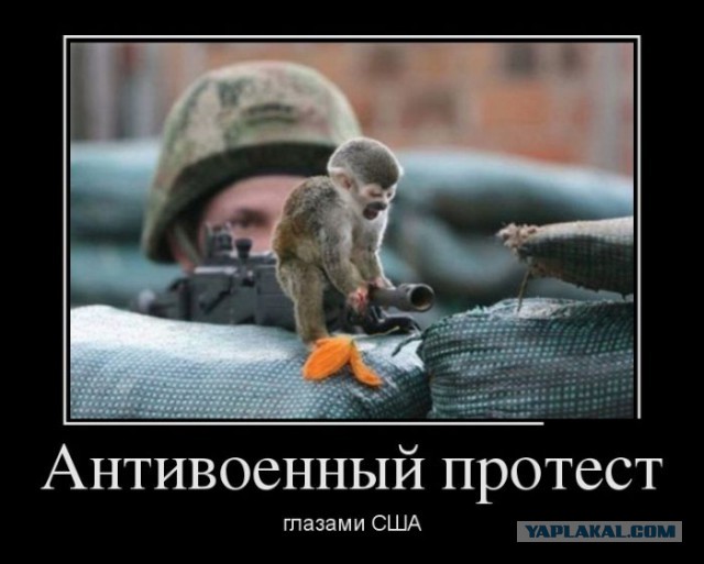 Демотиваторы.