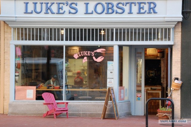 Шокирующие снимки из центра американской столицы