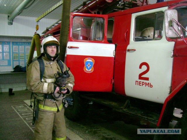 Приветы с рабочих мест ЯПовчан