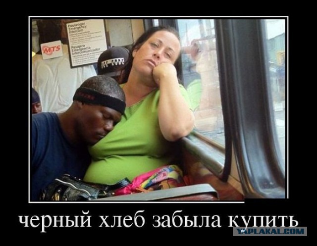 Весёлые картинки