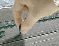 Прикольные ГИФЫ. Анимированные картинки.