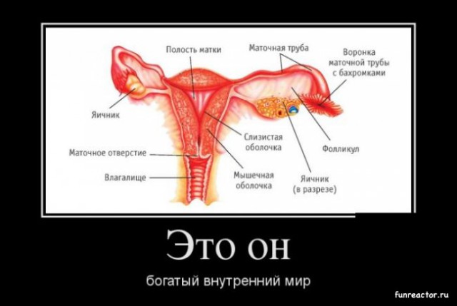 Знакомство: ищу С.М. (кризис епт)